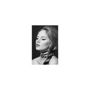 V6HAA4574DCF5FAC00B5CC7BC16FD0BE6E3R4678094P1